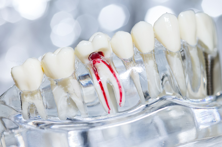 Sanvi Dental Care